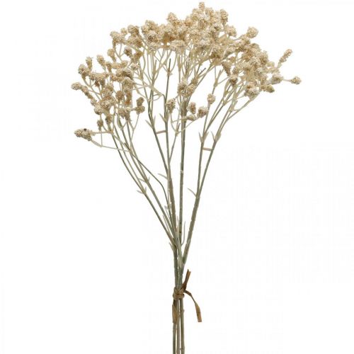 Produkt Sztuczna łyszczec kremowa łyszczec 46cm pęczek po 3 sztuki