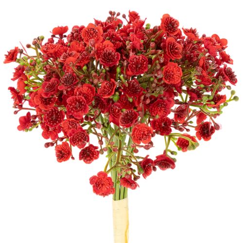 Sztuczna gipsówka, czerwona, bukiet jako dekoracja kwiatowa, 30cm, 10 szt.