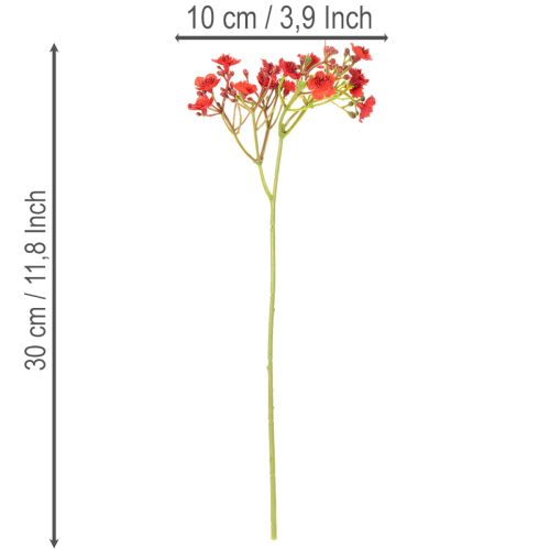 Sztuczna gipsówka, czerwona, bukiet jako dekoracja kwiatowa, 30cm, 10 szt. | Floristik24.pl
