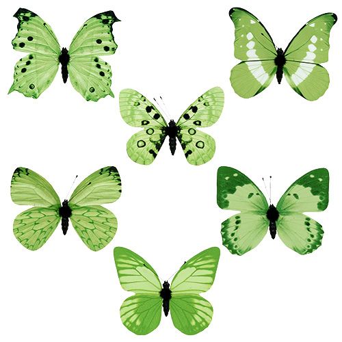 Floristik24 Motyl zielony na klipsie 10cm - 11cm 6szt