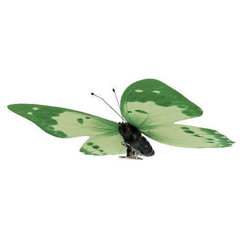 Floristik24 Motyl zielony na klipsie 10cm - 11cm 6szt