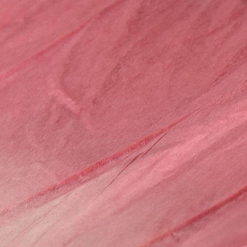 Produkt Duża wisząca dekoracja w kształcie motyla, elegancka dekoracja ścienna, 50 cm, 2 sztuki