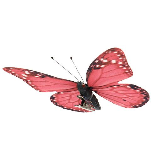 Floristik24 Motyl różowy na klipsie 11cm 6szt