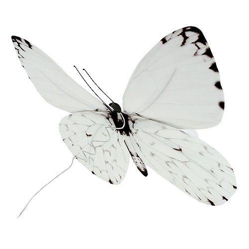 Produkt Motyl biały 20cm na druciku 2szt