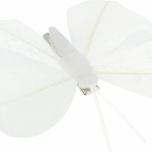 Produkt Piórkowy motyl na klipsie biały 7-8cm 8szt