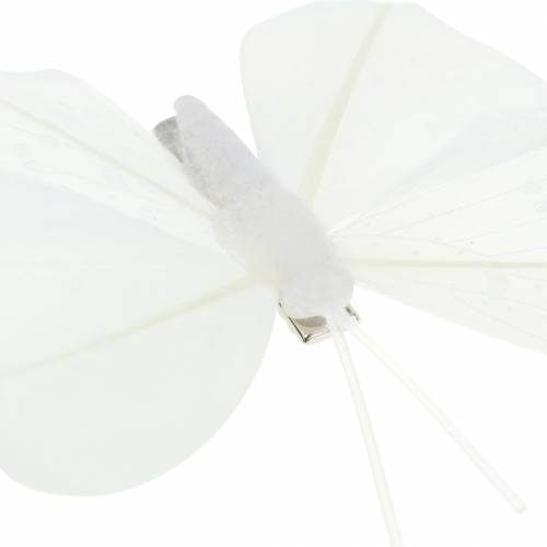 Floristik24 Motyl z piórkiem na klipsie biały 7-8cm 8 szt