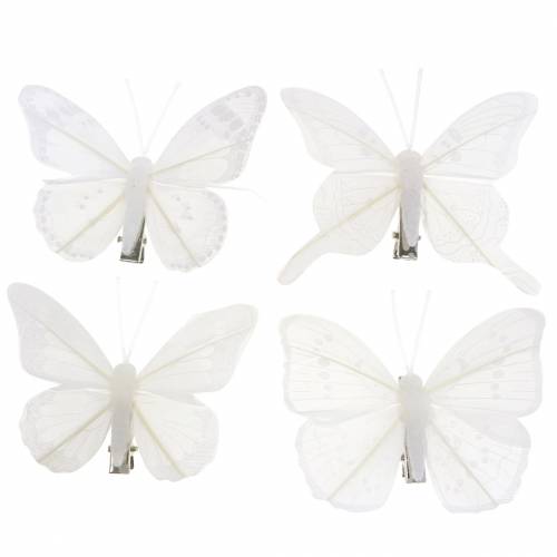Floristik24 Motyl z piórkiem na klipsie biały 7-8cm 8 szt