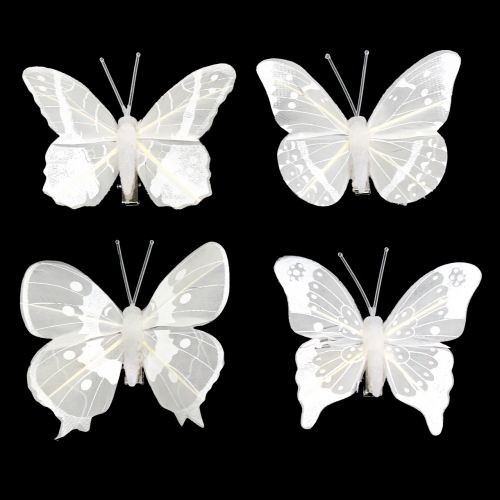 Floristik24 Motyl na klipsie biały 8cm 8szt