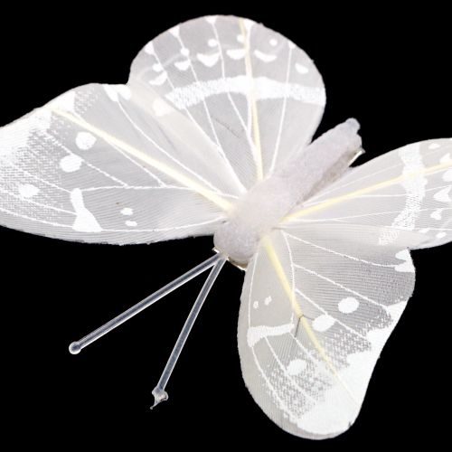 Floristik24 Motyl na klipsie biały 8cm 8szt
