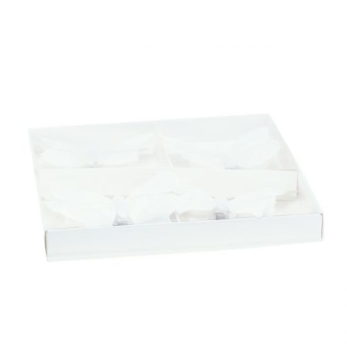 Floristik24 Motyl na klipsie biały 8cm 8szt