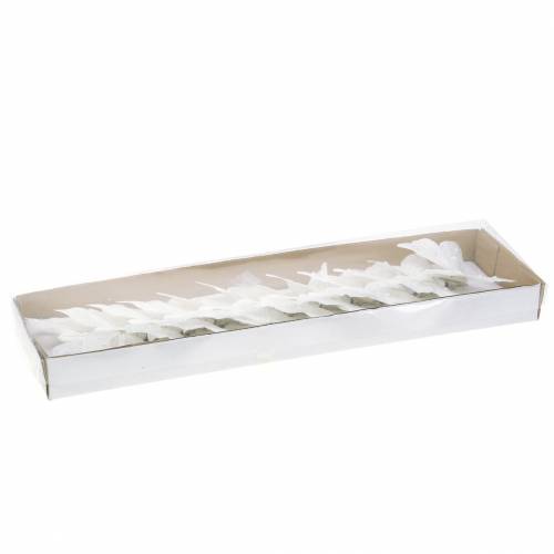 Floristik24 Piórkowy motyl na klipsie biały 10 cm 12 szt