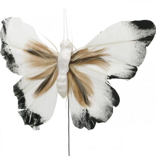 Floristik24 Dekoracyjny motyl, dekoracja wiosenna, ćma na drucie brązowy, żółty, biały 6×9cm 12szt
