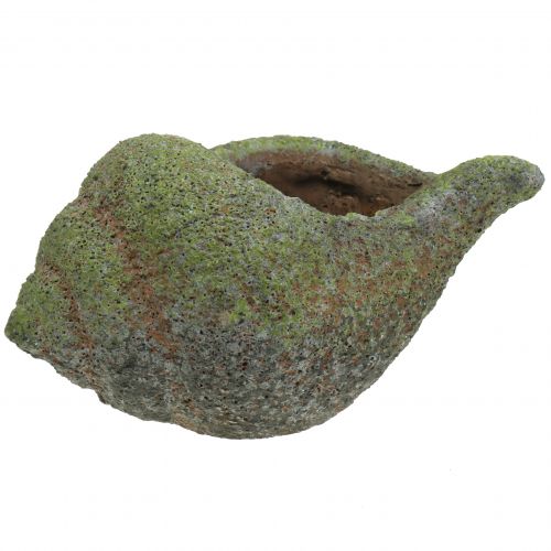 Floristik24 Łuska do sadzenia z mchem 25 cm