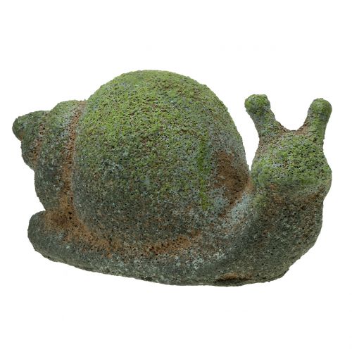 Floristik24 Figura ogrodowa ślimak mech 31cm x 17cm H17cm