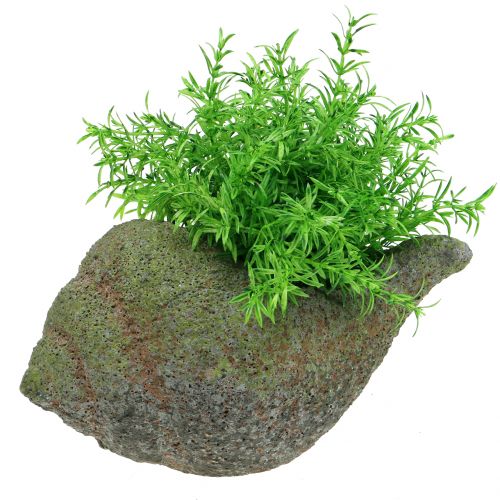 Floristik24 Łuska do sadzenia z mchem 25 cm