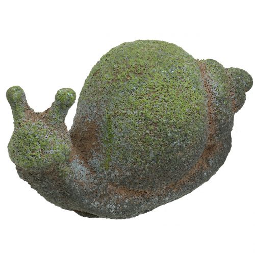 Floristik24 Figura ogrodowa ślimak mech 31cm x 17cm H17cm