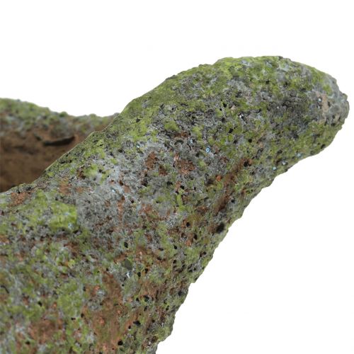 Floristik24 Łuska do sadzenia z mchem 25 cm