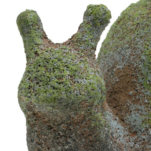 Floristik24 Figura ogrodowa ślimak mech 31cm x 17cm H17cm