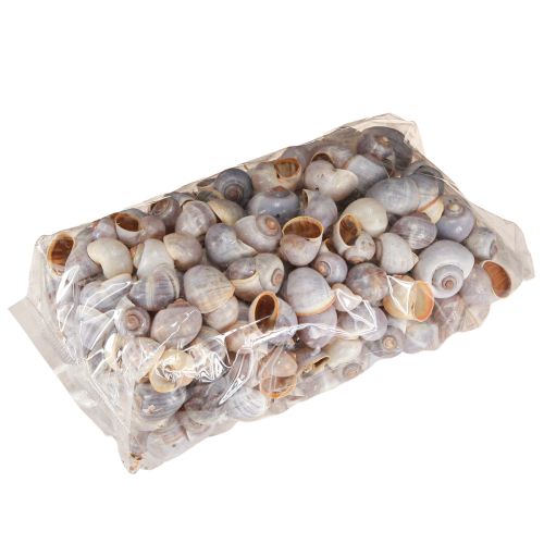 Produkt Naturalne muszle ślimaków 1kg