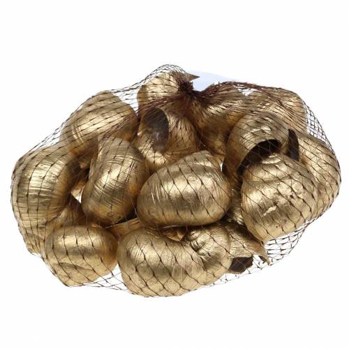 Floristik24 Naturalna dekoracja z muszli ślimaka Golden 24 St