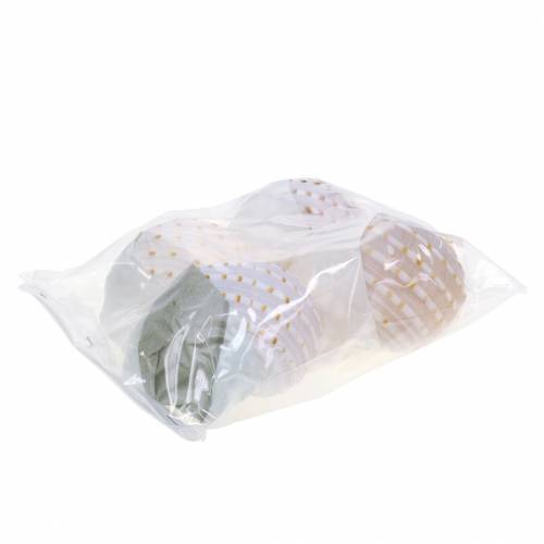 Floristik24 Ozdobna muszla ślimaka Tonna tessellata naturalna 10-13cm 4 szt