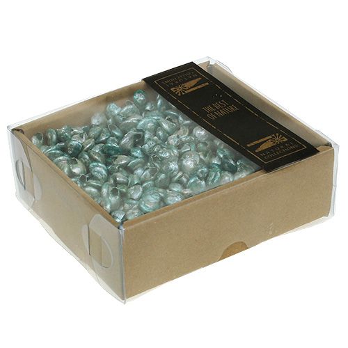 Floristik24 Muszla ślimaka niebiesko-zielona 500g