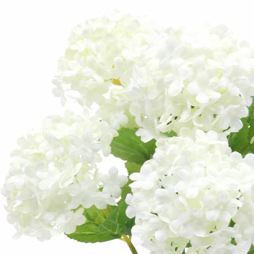 Floristik24 Śnieżna Kula Gałązka Wiburnum Biała 42,5cm