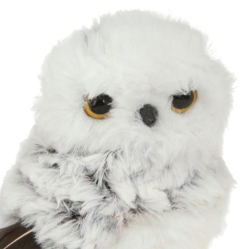 Produkt Sowa śnieżna Figurka dekoracyjna Para sów Biały Brązowy W12cm 4 szt