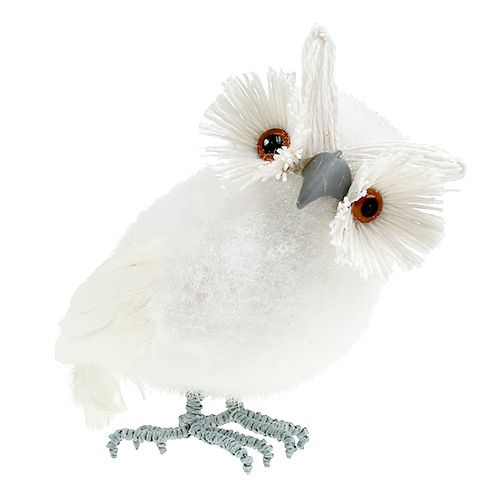 Floristik24 Śnieżna sowa biała 18cm