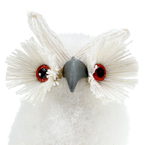 Floristik24 Śnieżna sowa biała 18cm