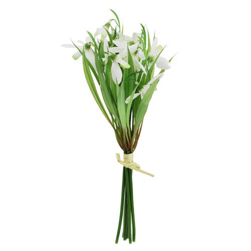 Floristik24 Przebiśnieg 23 cm 7 sztuk