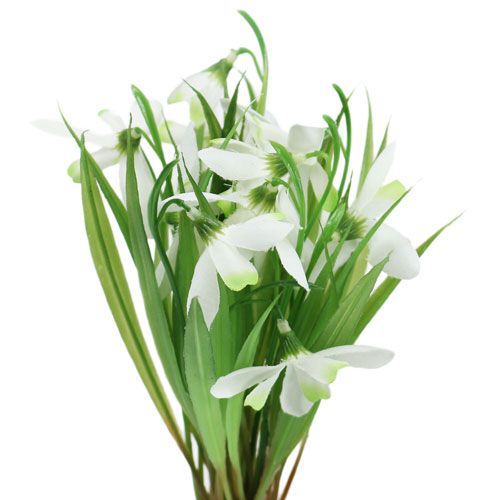 Floristik24 Przebiśnieg 23 cm 7 sztuk