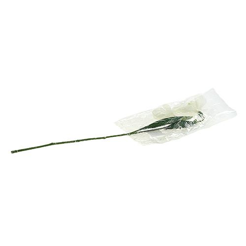 Floristik24 Przebiśnieg L48cm śnieżny