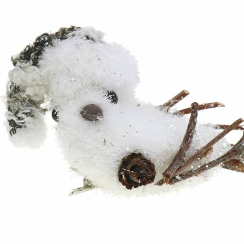 Floristik24 Ptaszek śnieżny na klipsie 8cm x 6,5cm 6 szt