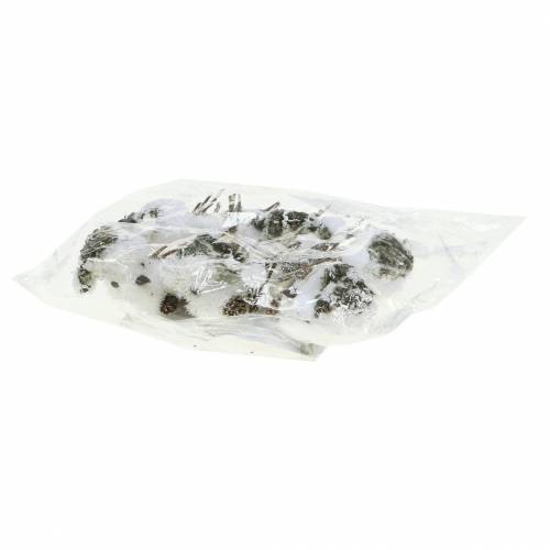 Floristik24 Ptaszek śnieżny na klipsie 8cm x 6,5cm 6 szt