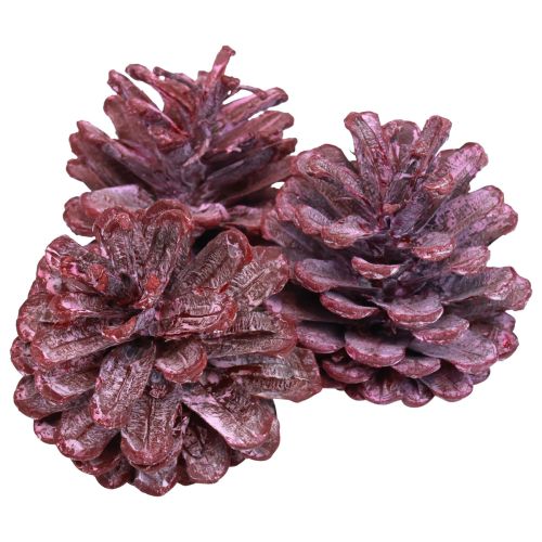 Szyszki sosnowe czarne czerwone dekoracja naturalna matowe 5–7cm 1kg