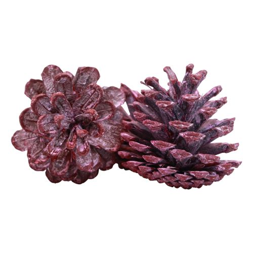 Produkt Szyszki sosnowe czarne czerwone dekoracja naturalna matowe 5–7cm 1kg