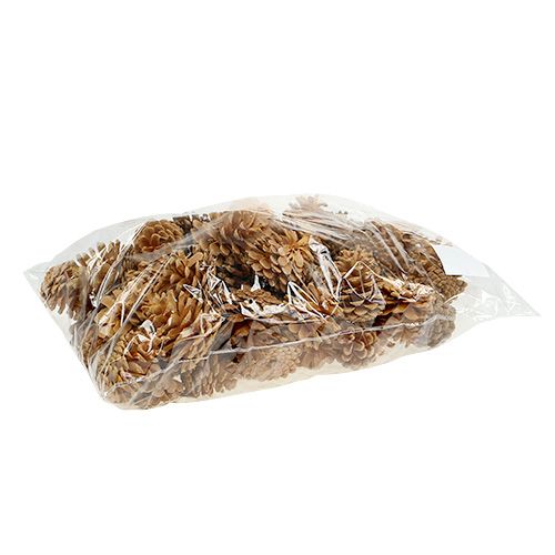 Produkt Szyszki sosnowe czarne szyszki dekoracyjne kremowe 5-8cm 1kg