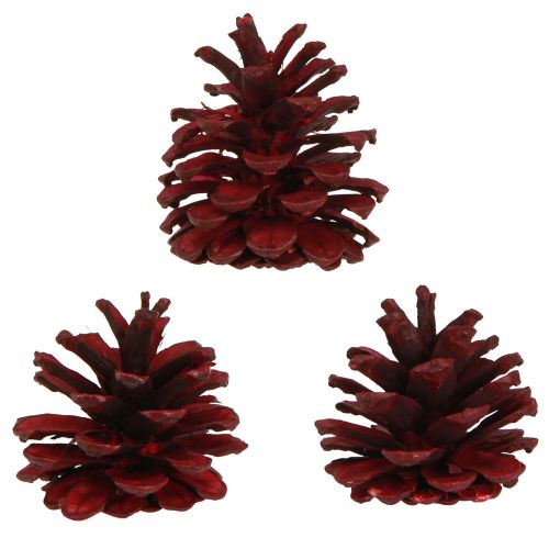 Produkt Szyszki sosnowe czarne Bordeaux szyszki dekoracyjne czerwone 6-8cm 6 szt