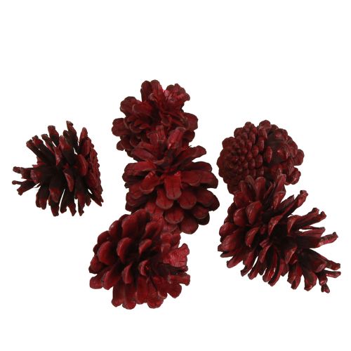 Produkt Szyszki sosnowe czarne Bordeaux szyszki dekoracyjne czerwone 6-8cm 6 szt
