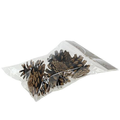 Produkt Szyszki sosny czarnej 5cm naturalne 5szt