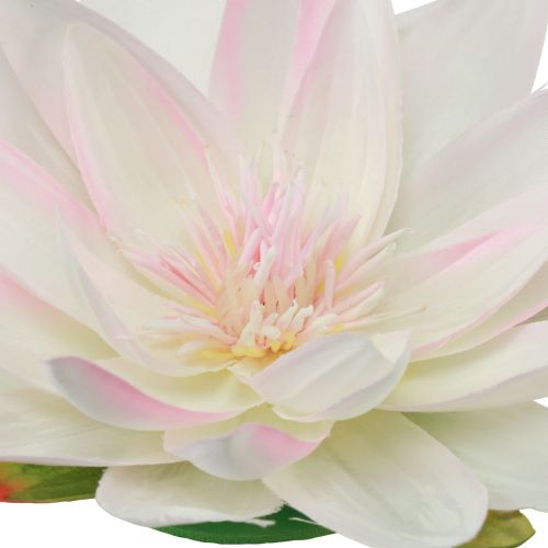 Produkt Sztuczna lilia wodna pływająca dekoracja stołu w kolorze białym, różowym Ø15cm