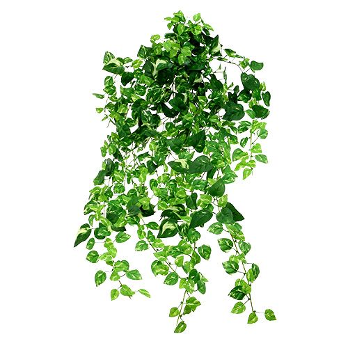 Floristik24 Scindapsus vine sztuczny 90cm