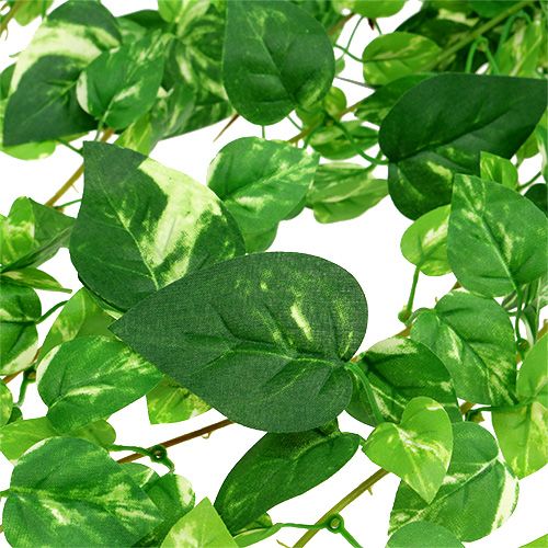 Floristik24 Scindapsus vine sztuczny 90cm