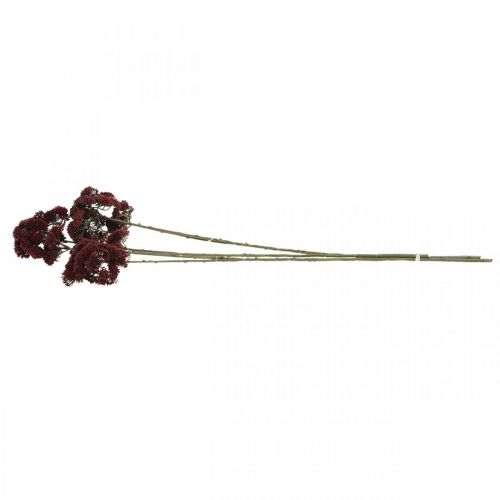 Floristik24 Rozchodnik Sztuczny Czerwony Jesienna Dekoracja 70cm 3szt.