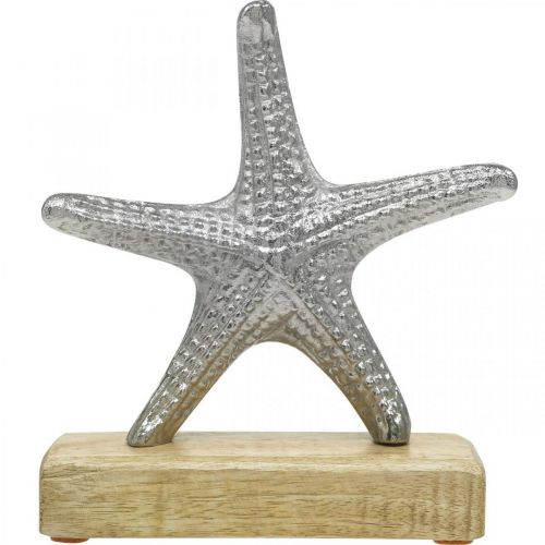 Floristik24 Rozgwiazda metalowa, dekoracja morska, rzeźba dekoracyjna srebrna, kolory naturalne wys.18cm