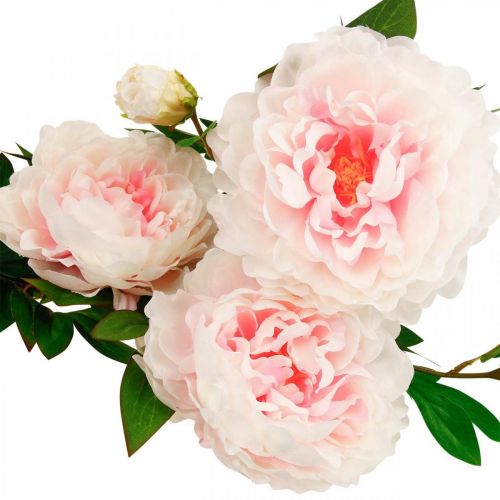 Produkt Kwiat jedwabiu piwonii sztuczny jasnoróżowy, biały 135cm