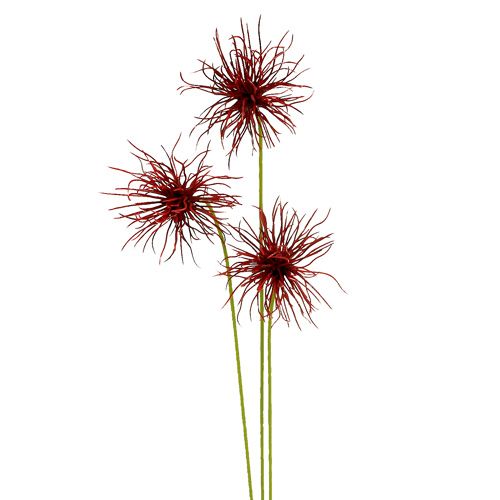 Floristik24 Kwiaty jedwabne Xanthium Bordeaux 64cm 4szt.