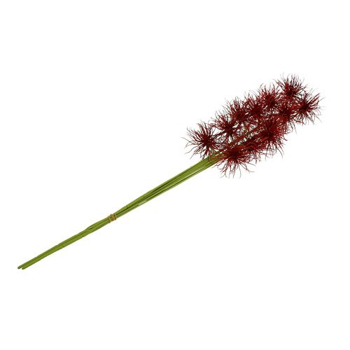 Floristik24 Kwiaty jedwabne Xanthium Bordeaux 64cm 4szt.