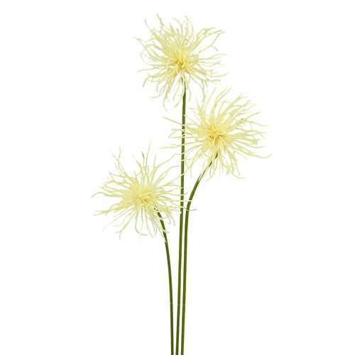 Floristik24 Kwiaty jedwabne Xanthium kremowe 63cm 4szt.